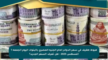 هبوط طفيف في سعر الدولار أمام الجنيه المصري بالبنوك اليوم الجمعة 1 أغسطس 2025 – هل تعرف السعر الجديد؟